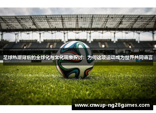 足球热潮背后的全球化与文化现象探讨：为何这项运动成为世界共同语言
