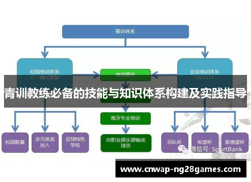 青训教练必备的技能与知识体系构建及实践指导 青训教练必备的技能与知识体系构建及实践指导