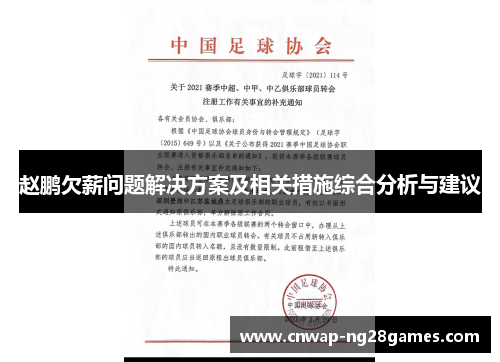 赵鹏欠薪问题解决方案及相关措施综合分析与建议
