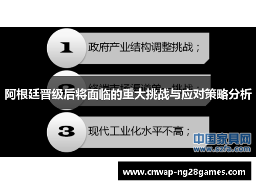 阿根廷晋级后将面临的重大挑战与应对策略分析