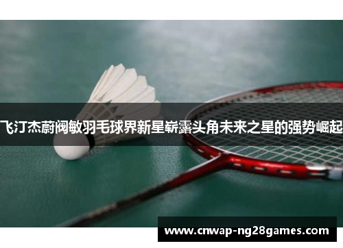飞汀杰蔚阀敏羽毛球界新星崭露头角未来之星的强势崛起 飞汀杰蔚阀敏羽毛球界新星崭露头角未来之星的强势崛起