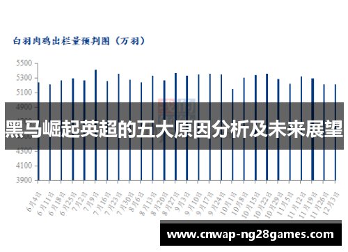黑马崛起英超的五大原因分析及未来展望